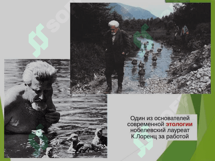 Гипоталамический синдром 5