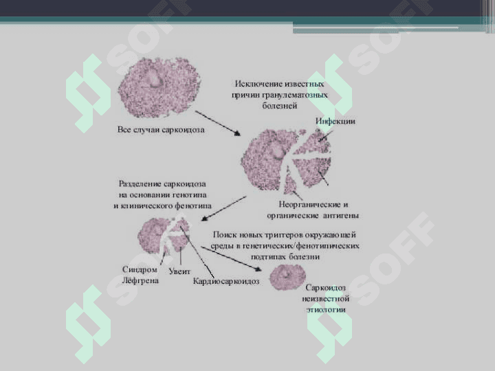 Саркоидоз легких 4