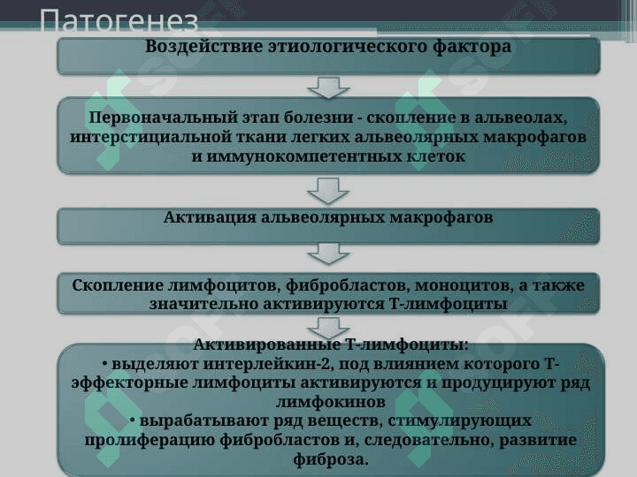 Саркоидоз легких 5