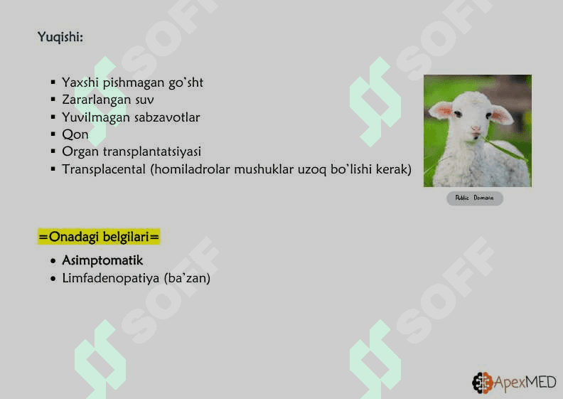 Torch infeksiyasi 5