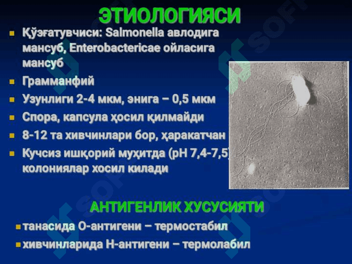 Salmonellyoz. ppt 2