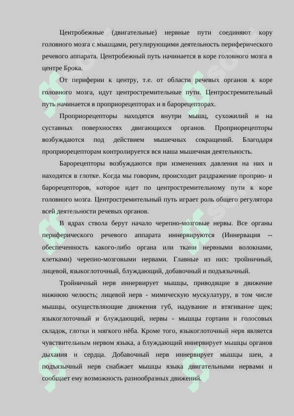 Речевой аппарат 4