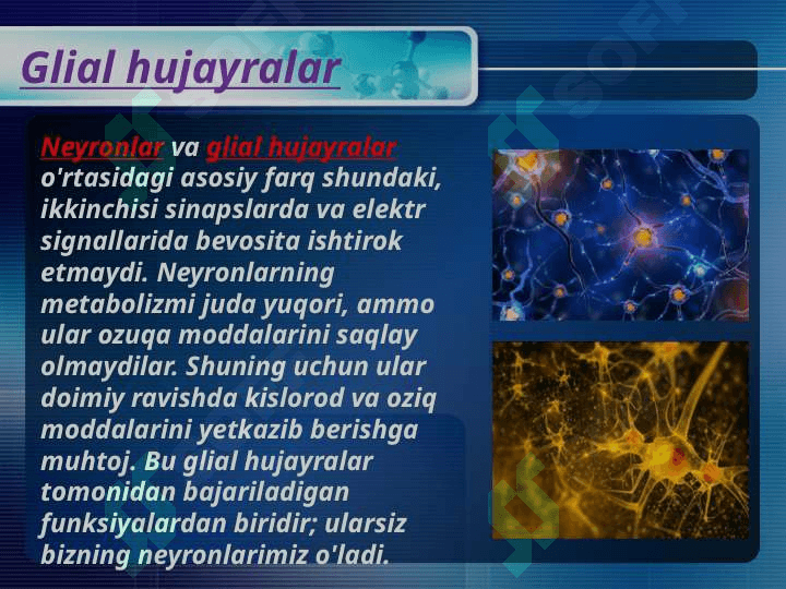 Asab tolalari va sinapslarning xossalarini o'rganish 4