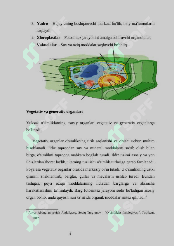 Yuksak oʻsimliklar 6