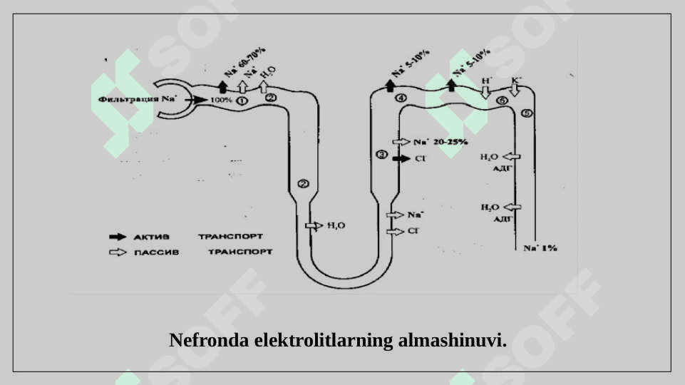 Diuretiklar 3