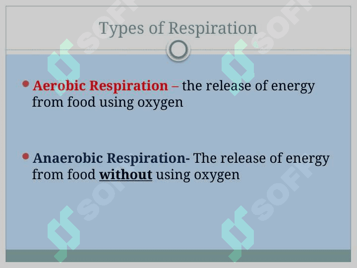 Respiration 3