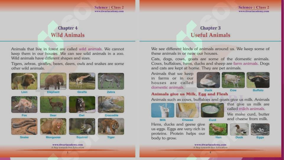 DO YOU KNOW ENGLISH? 4