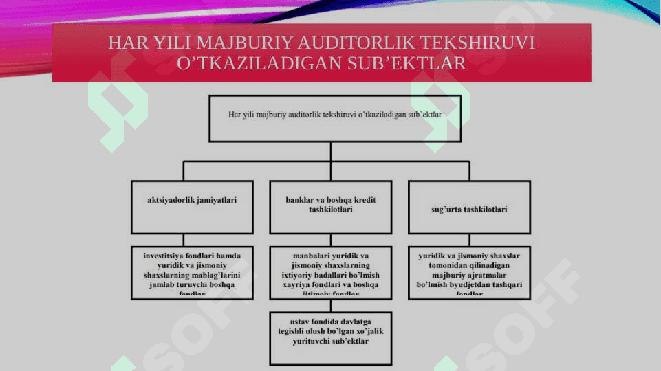 Auditorlik tekshiruvi turlari 3