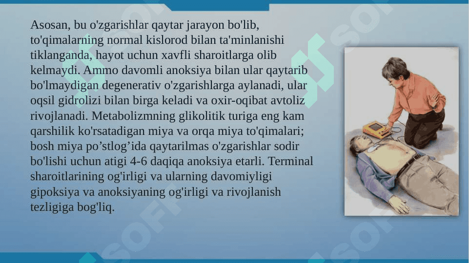 Terminal holatlar 01 4