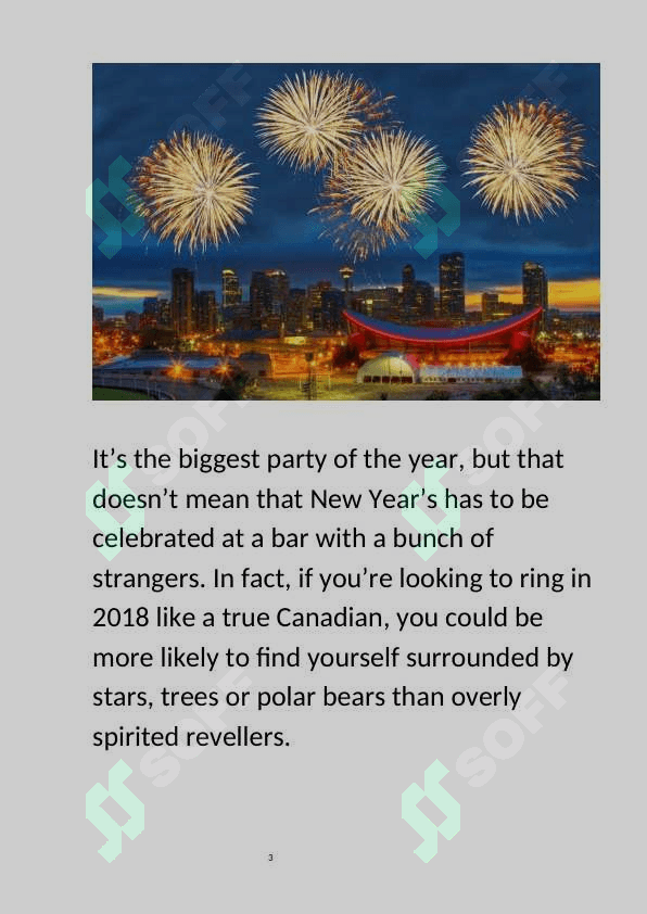 New Year 3