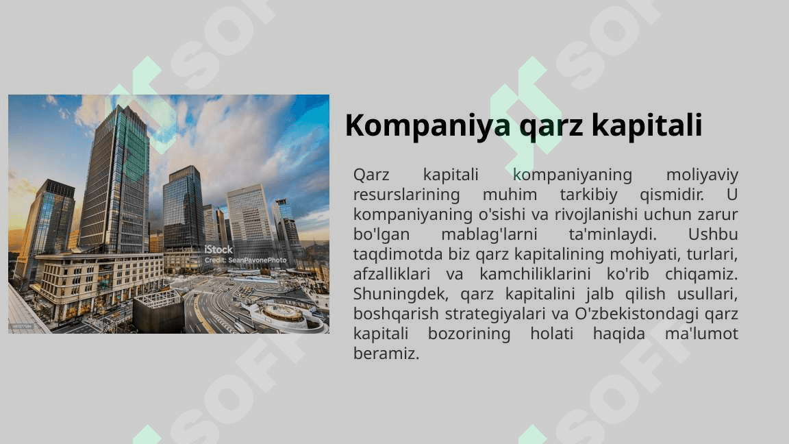 Kompaniya qarz kapitali 2
