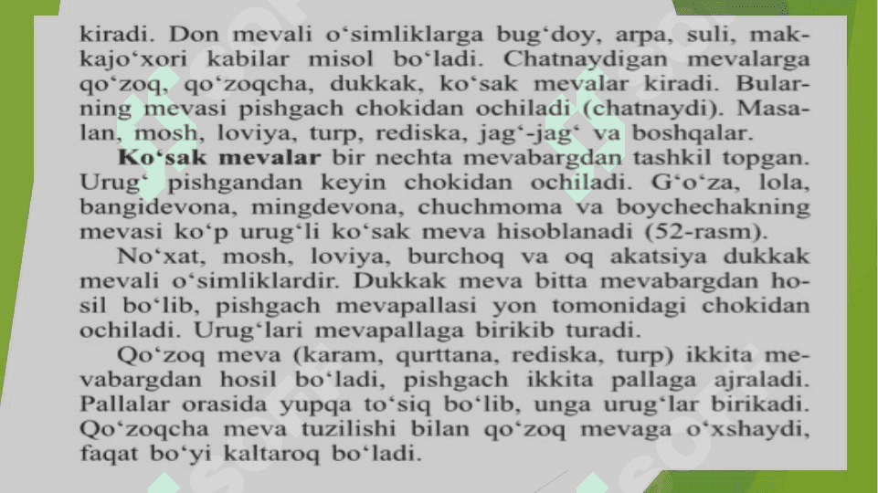 Mevalar 8