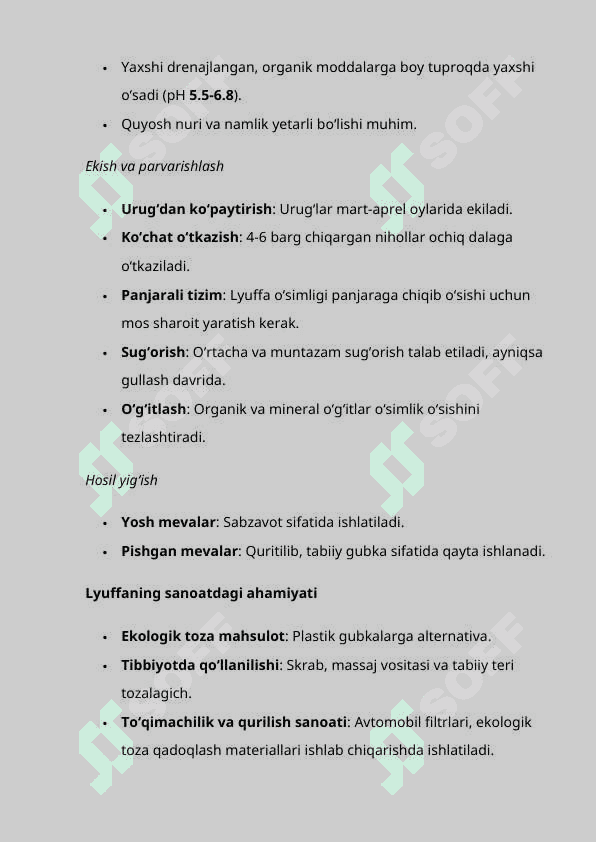 Lyuffa o'simligi 4