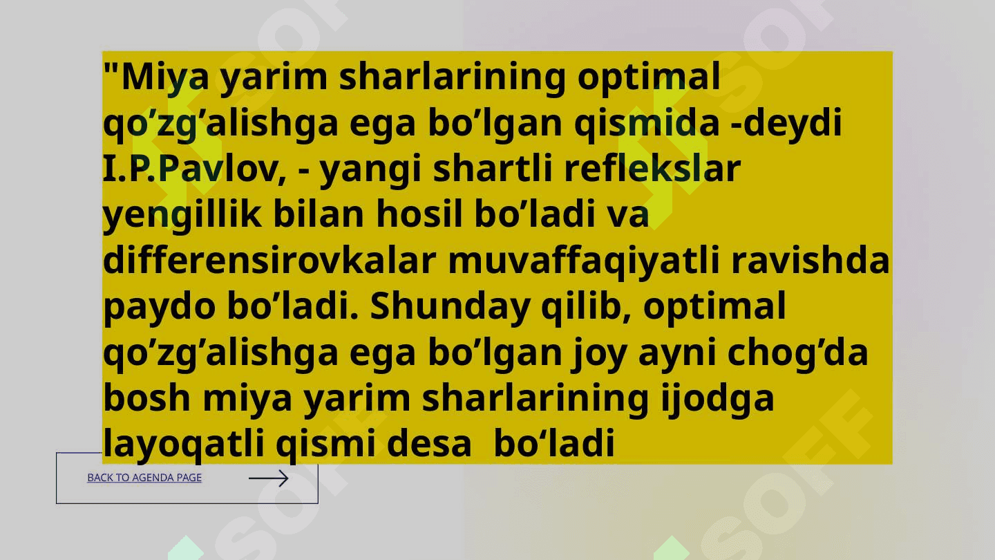 Diqqat Sezgi  Idrok 8