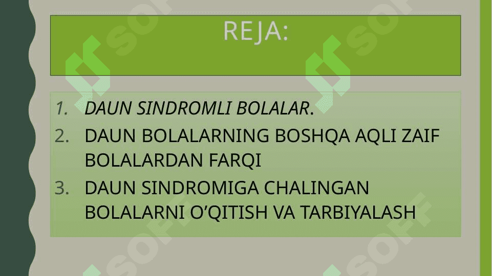 Daun sindromli bolalar 2