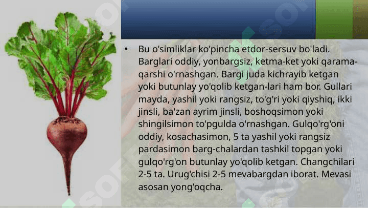 SHO'RADOSHLAR OILASI 4