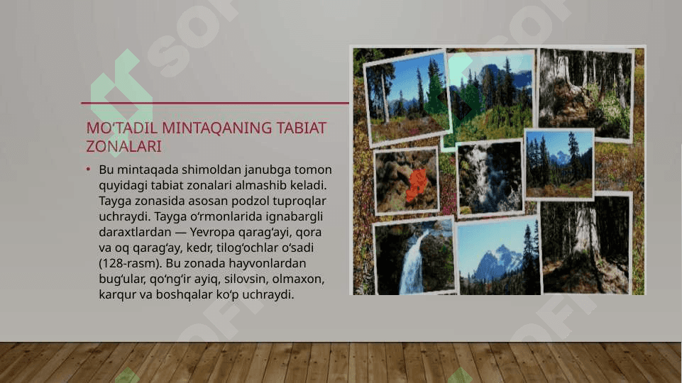 Yevrosiyoning tabiat zonalari 3