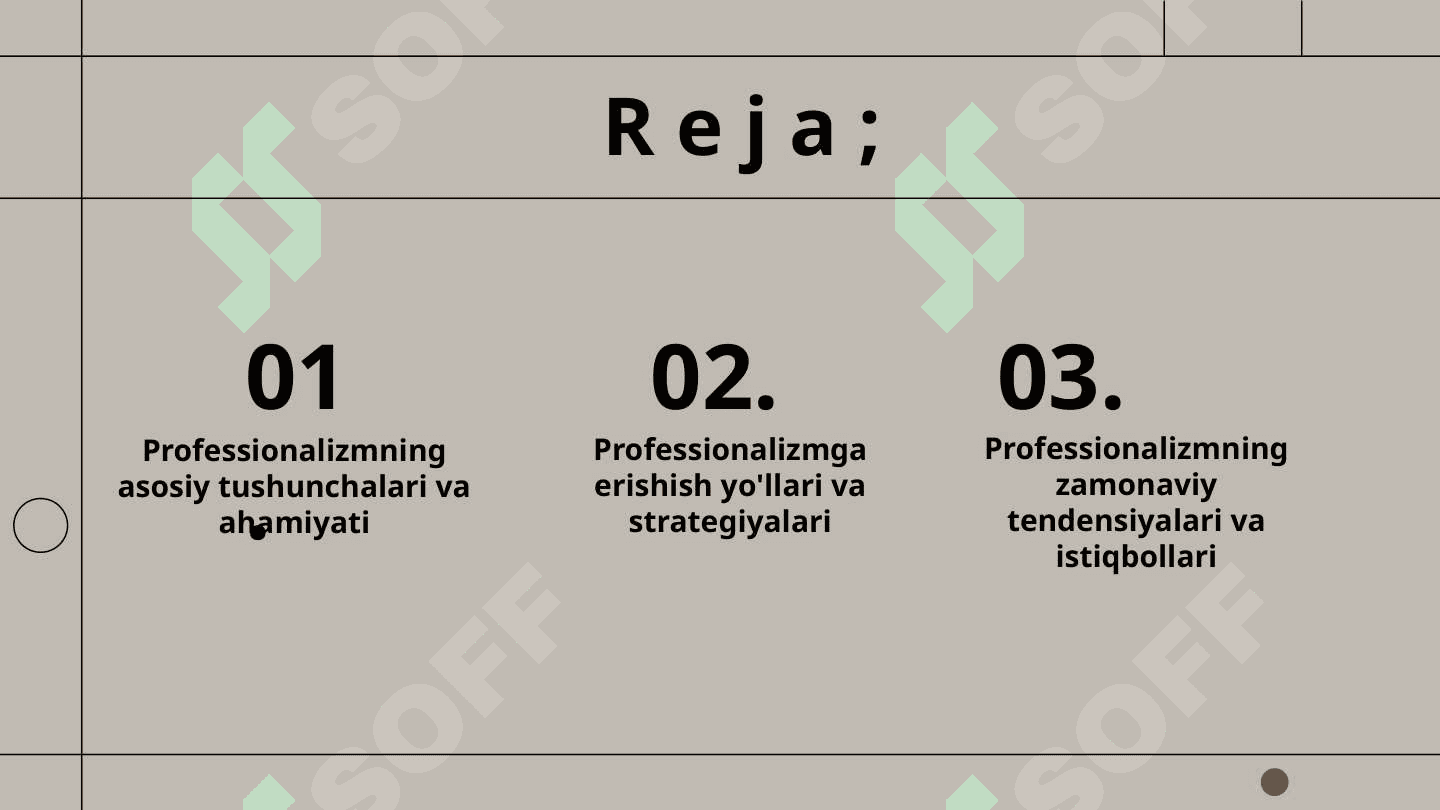 Professionalizm tamoyili. 2