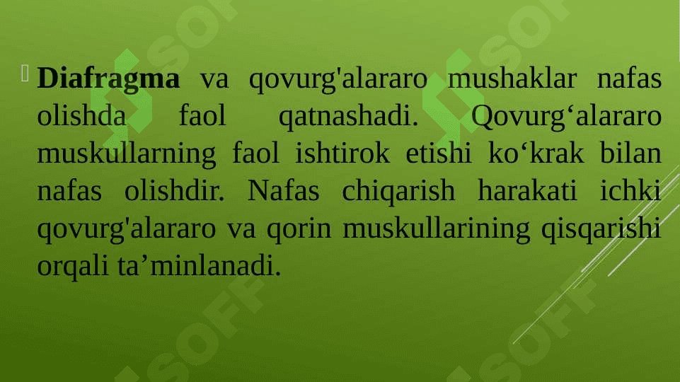 Ovoz buzilishlari  uning sabablari va mexanizmi 4