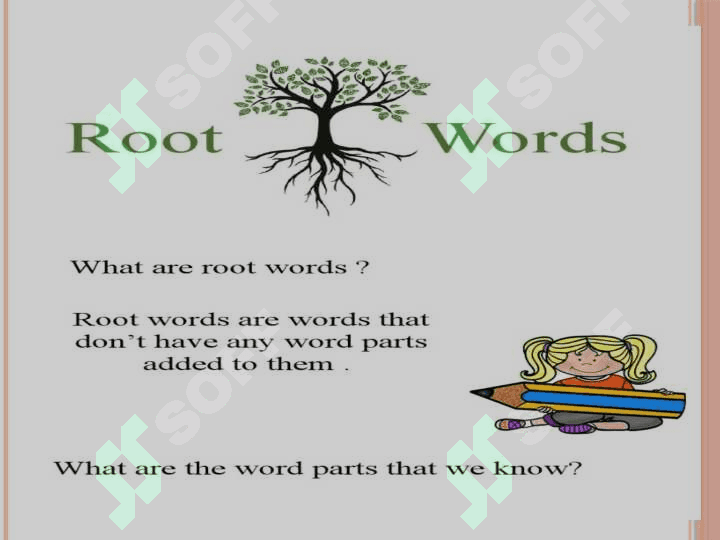 Stems Lecture 8