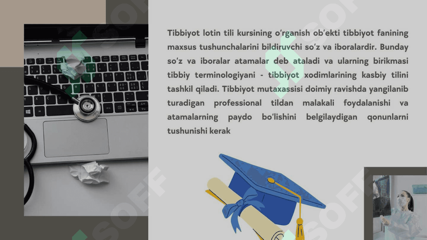 Moslashmagan aniqlovchi ishtirokida anatomik terminlar 4