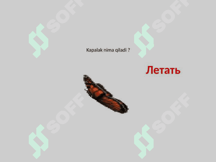 РКИ ,глагол 3
