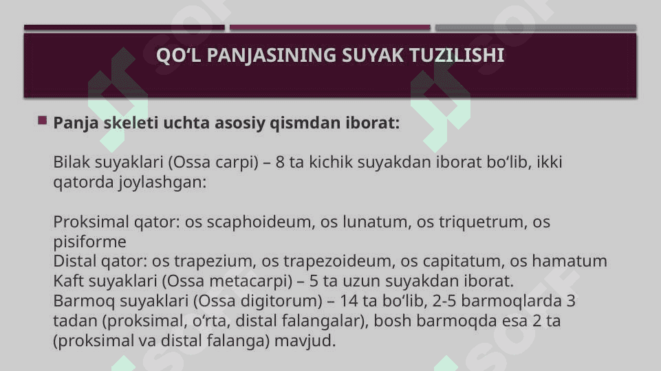 Qo’l panja sohasi topografik anatomiyasi 4