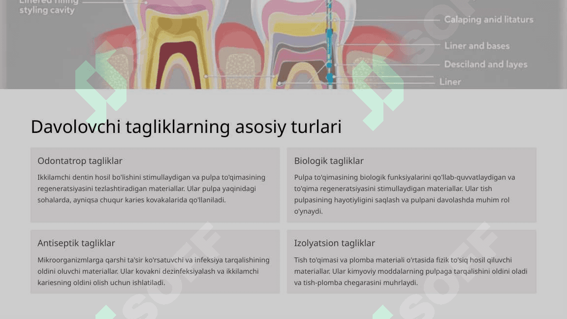 Davolovchi tagliklar. Turlari, xususiyatlari. 3