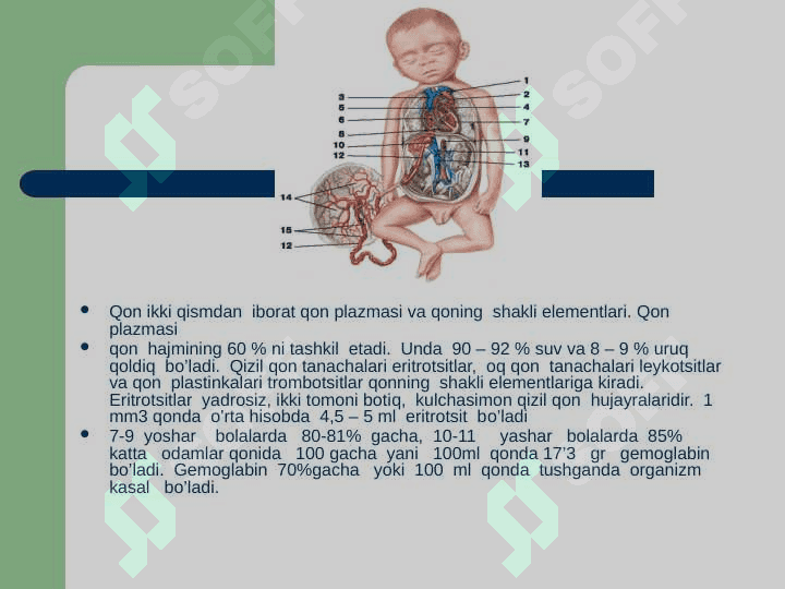 Bollarda qon aylanish sestimasi 4