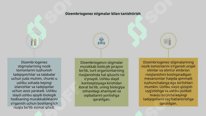 Dizembriogenez stigmalar 3