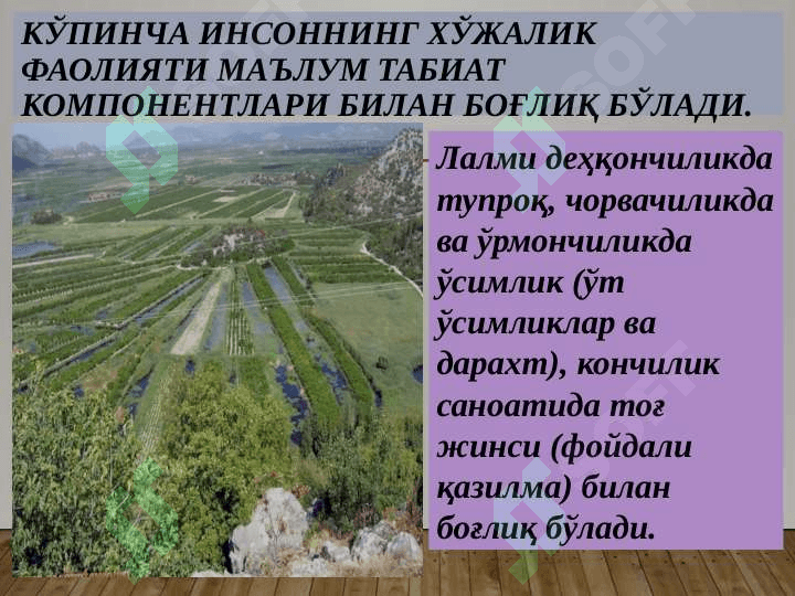 ЛАНДШАФТЛАРНИНГ ЭКОЛОГИК ФУНЦИЯСИ 6