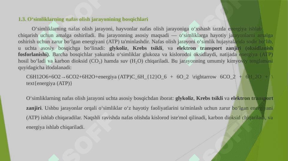 O`simliklarning nafas olishi 7