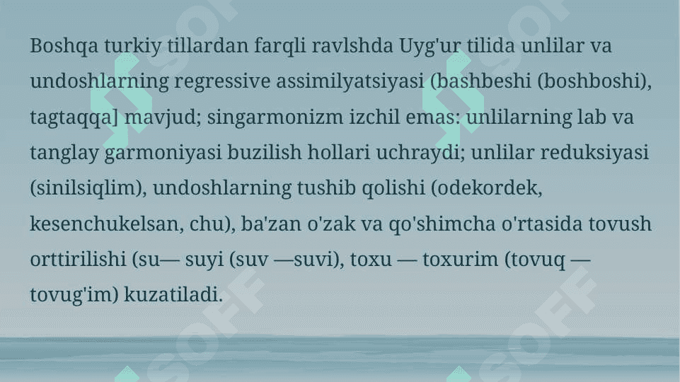 Uyg'urlar 7