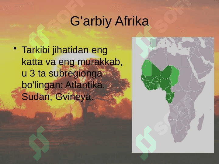 Afrika xalqlari 6