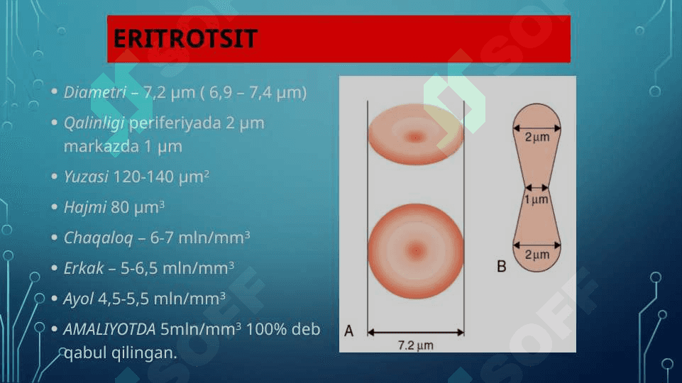 Eritrotsitlar, Turlari funksiyalari. Gemoglobin va Uning turlari 3