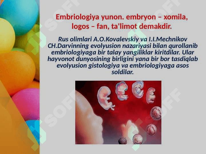 Embrional rivojlanishning umumiy qonuniyatlari 3