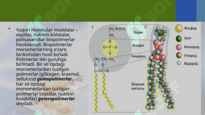 Uglevodlar va lipidlar. 3