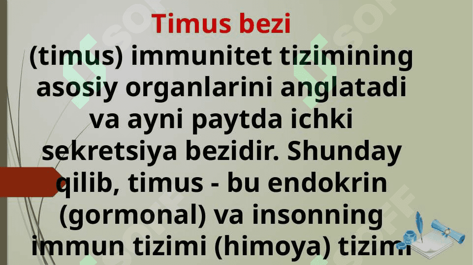 Timus 2
