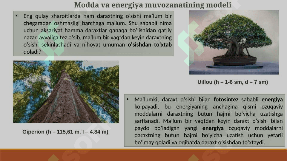 Modda va energiya muvozanatining modeli 2