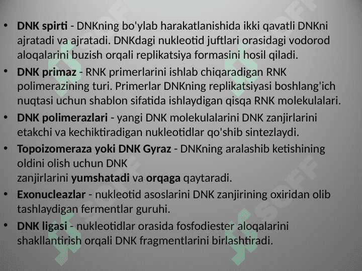 Prokariot va eukariot DNK polemerazaari 5