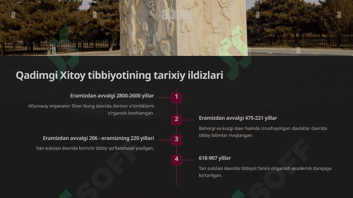 Qadimgi Xitoy tibbiyoti 3