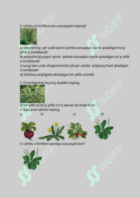 5-sinf botanika Piza test 2