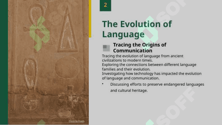 Language Awareness, Undefined 4