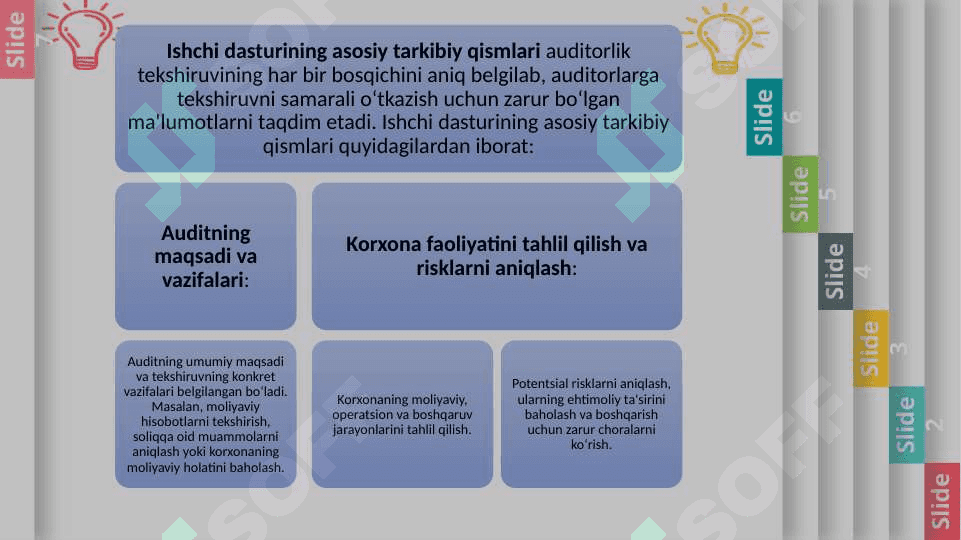 AUDITORLIK TEKSHIRUVI ISHCHI DASTURI 7