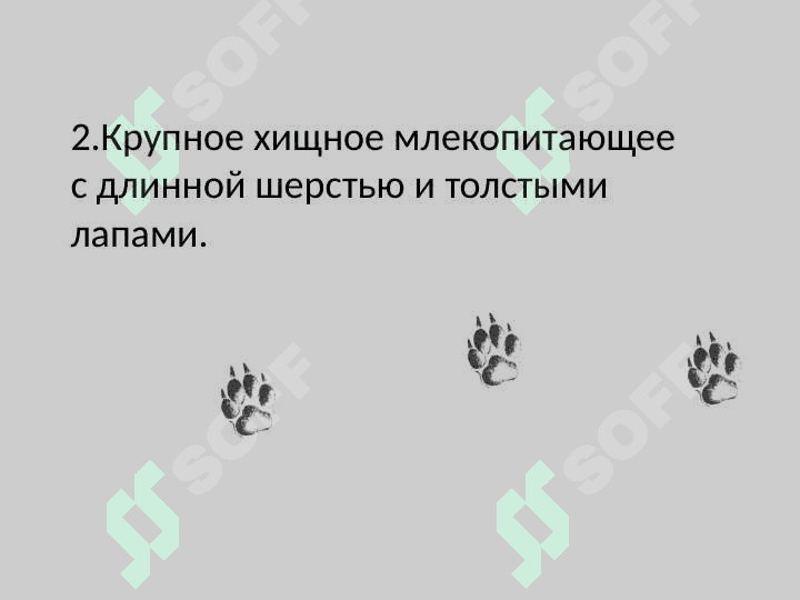 Имя прилагательное 4