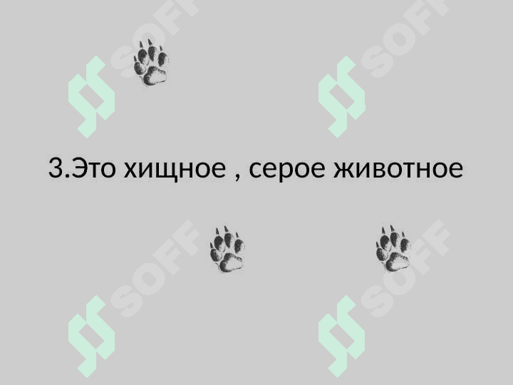 Имя прилагательное 6