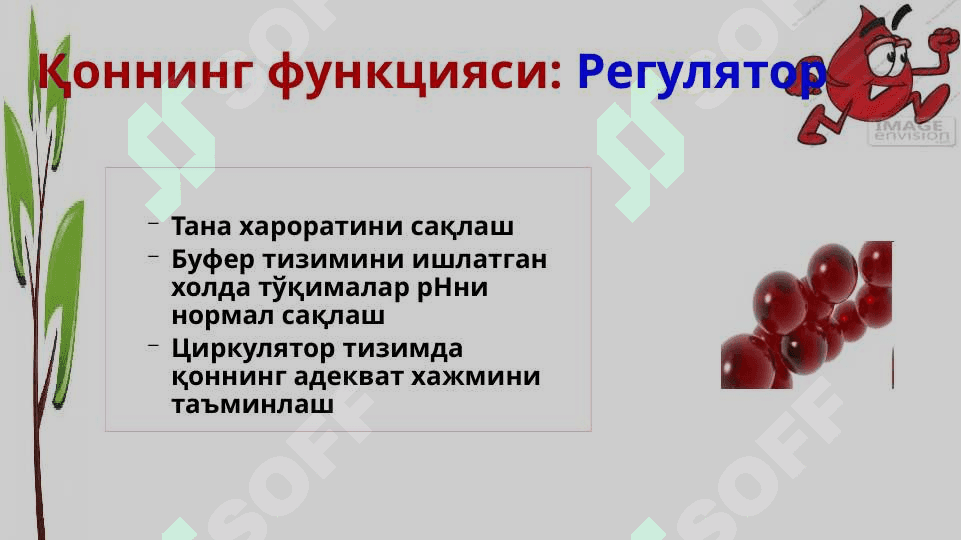 Анемия 3