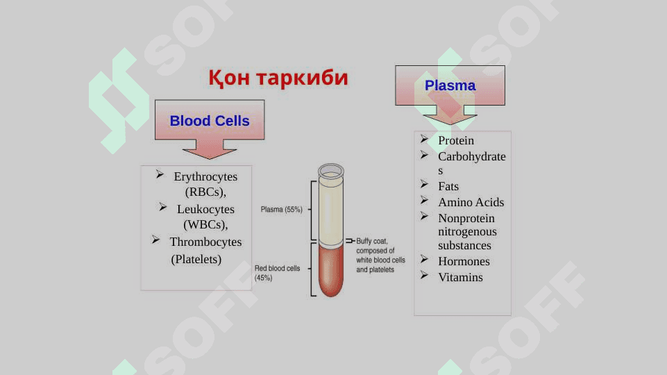 Анемия 4