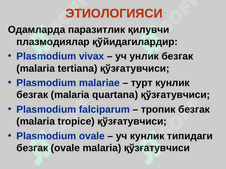 БЕЗГАК (МАЛЯРИЯ, MALARIA 4