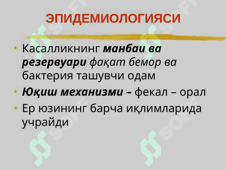Ич терлама – қорин тифи 7